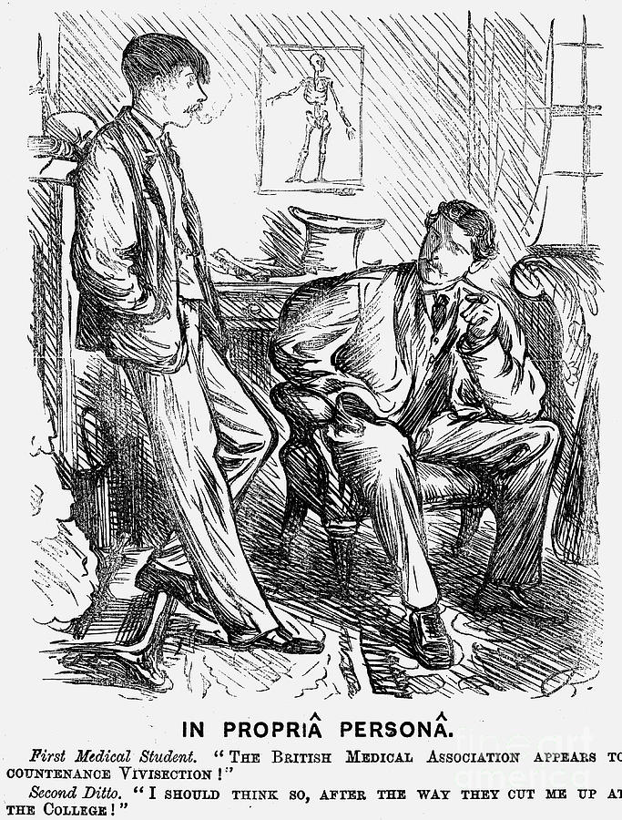 In Propriâ Personâ, 1875. Artist Drawing by Print Collector
