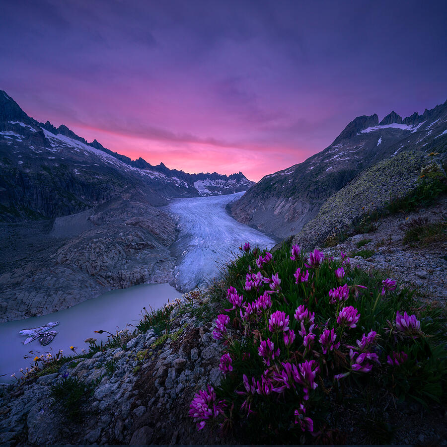 In The Alps Photograph by Maciej Karpinski