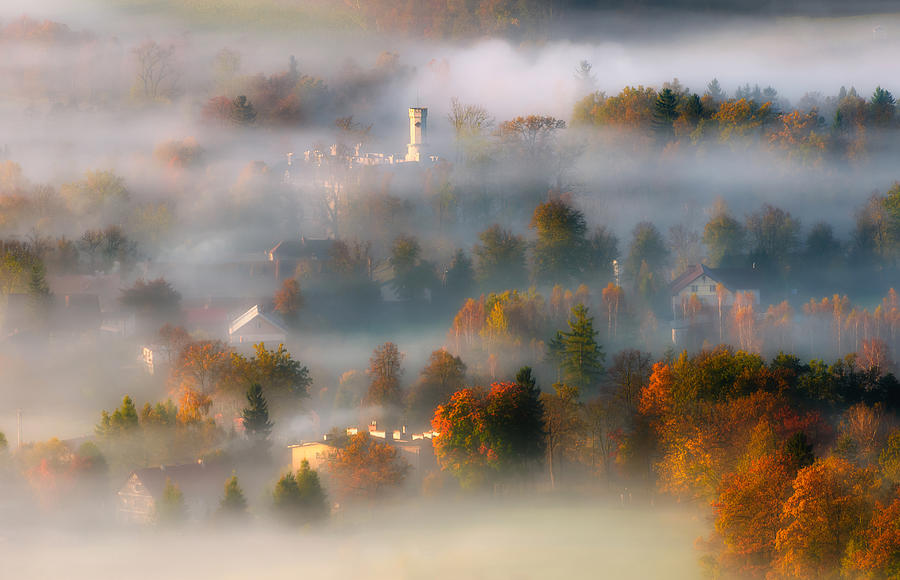 In The Autumn Mist Photograph by Piotr Krol (bax)