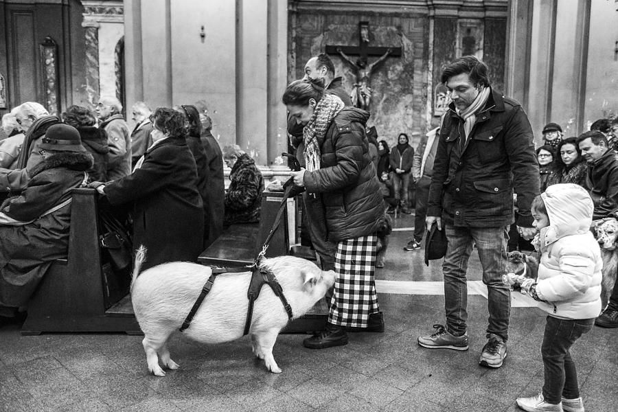 Street Photograph - In The Church With Pets by Giuseppe Grimaldi