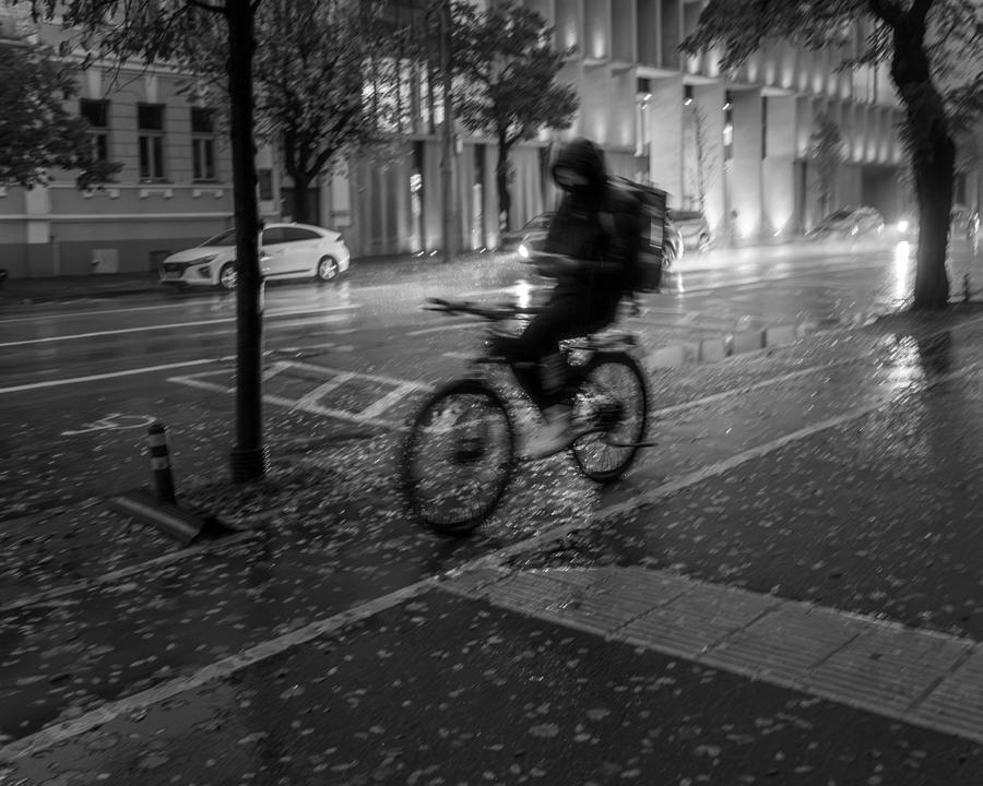 In The Cold November Rain Photograph by Alin Federiga