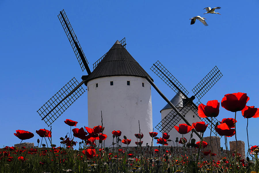 Landscape Photograph - In The Country Of Don Quixote by Giorgio Pizzocaro