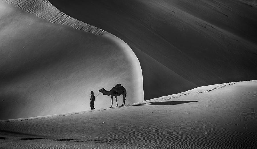 In The Desert Photograph by Angela Muliani Hartojo
