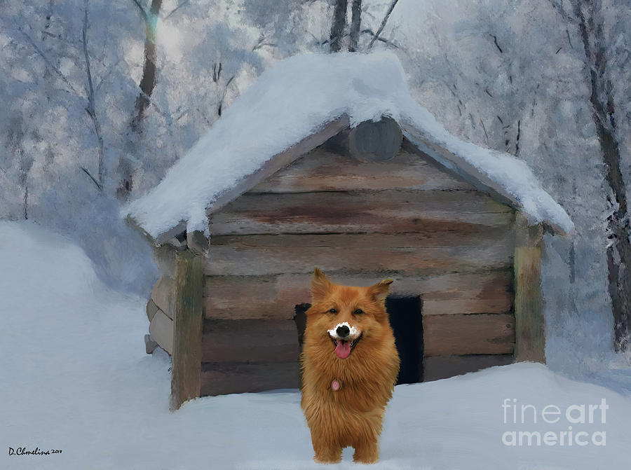 In The Dog House Digital Art by Debra Chmelina