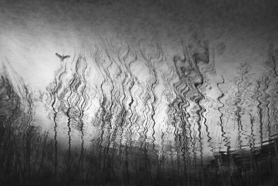 In The Endless Wind Photograph by Ekkachai Khemkum