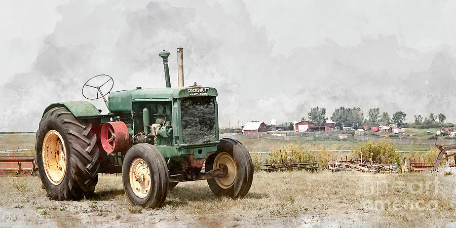In the Field by Brad Allen Fine Art In the Field by Brad Allen Fine Art