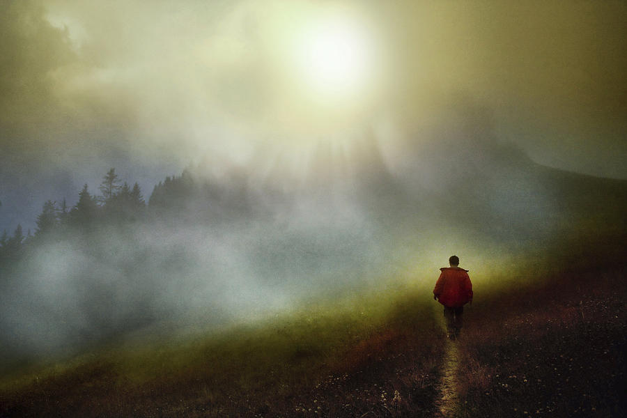 In The Fog Photograph by Ibrahim Kerem Ozturk