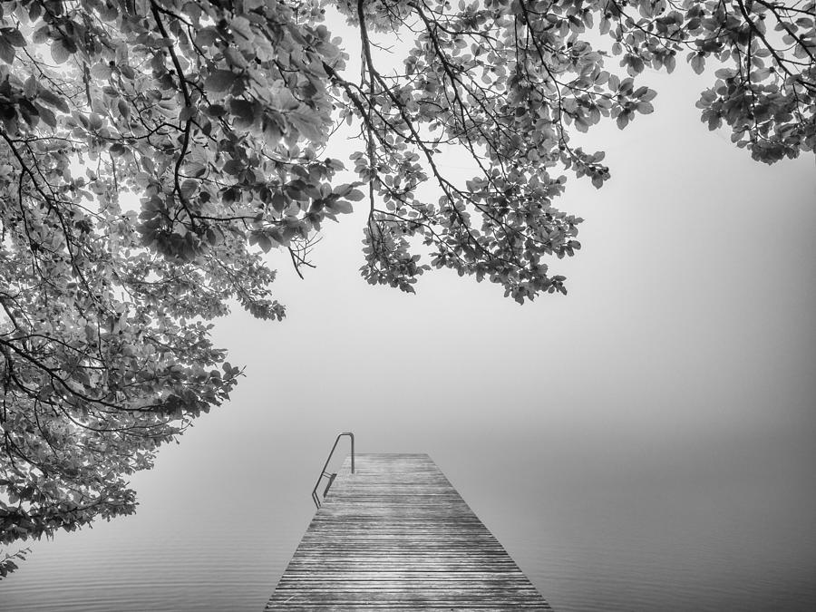 In The Fog Photograph by Margit Lisa Roeder
