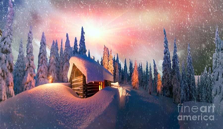 Year Photograph - In The High Mountains, Among The Wild by Roman Mikhailiuk Year Photograph - In The High Mountains, Among The Wild by Roman Mikhailiuk