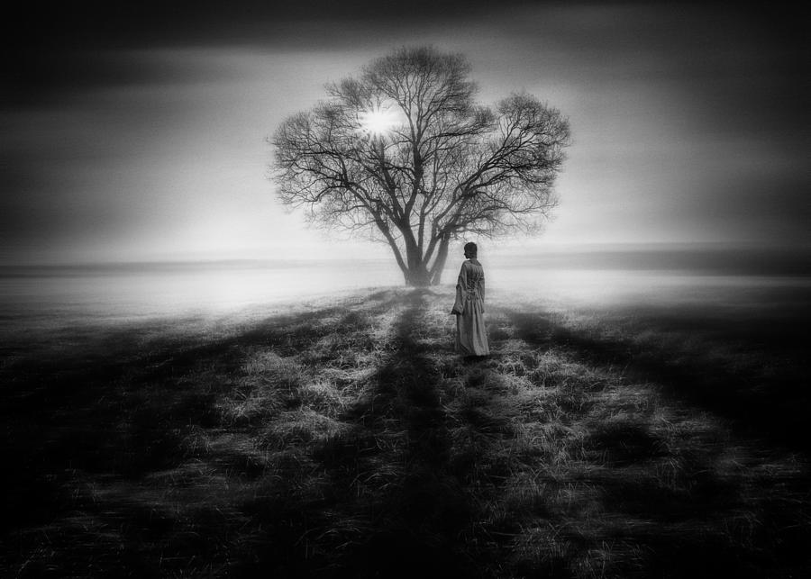 In The Minds Of Hope Photograph by Stanislav Hricko