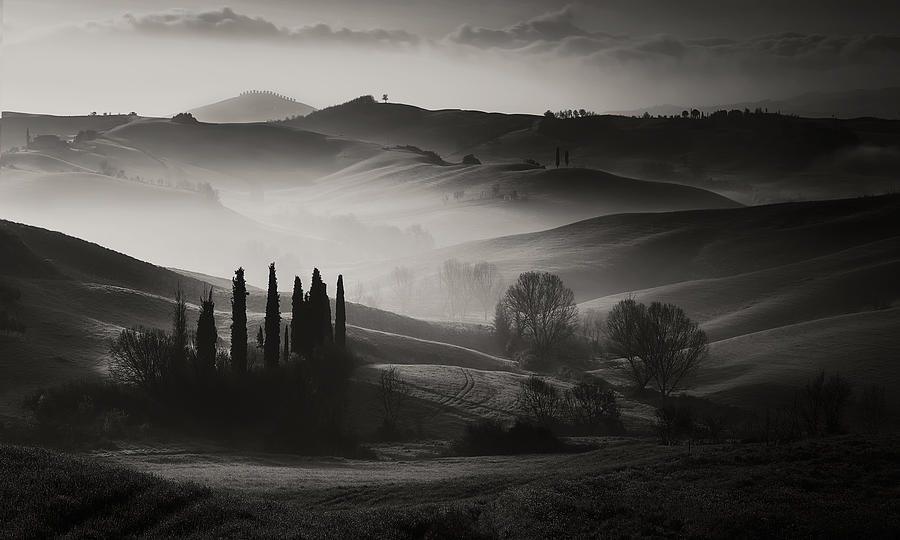 Tree Photograph - In The Morning by Fabrizio Massetti