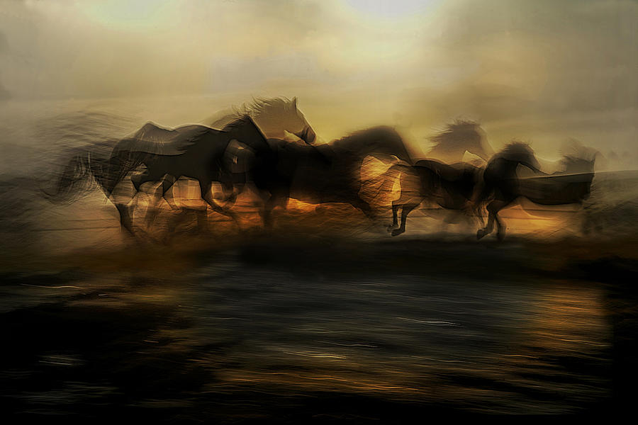 In The Morning Gallop Photograph by Milan Malovrh