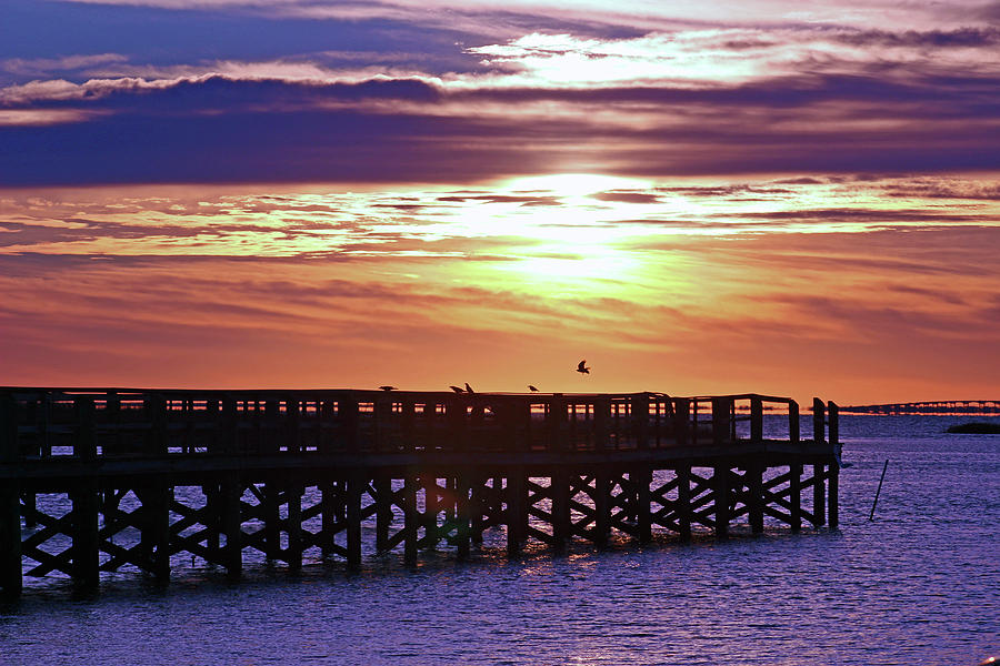In the Morning When I Rise by WhiteoakorganicsLLC Gallery In the Morning When I Rise by WhiteoakorganicsLLC Gallery
