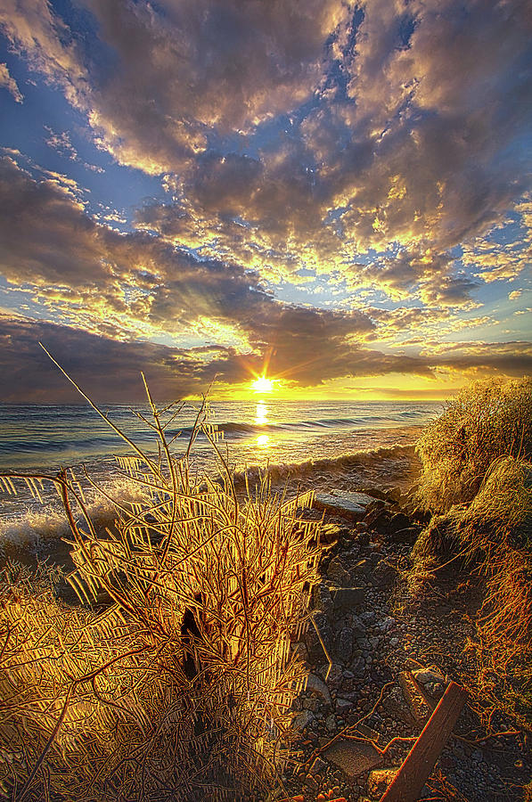 Nature Photograph - In The Name Of The Sun by Phil Koch