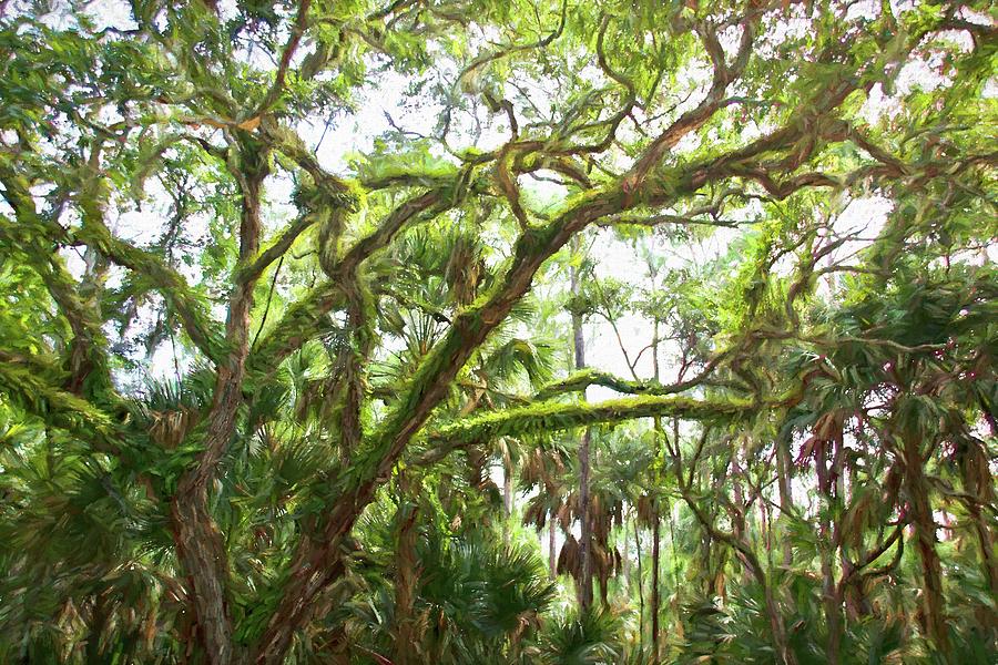 In The Oaks by Alice Gipson In The Oaks by Alice Gipson