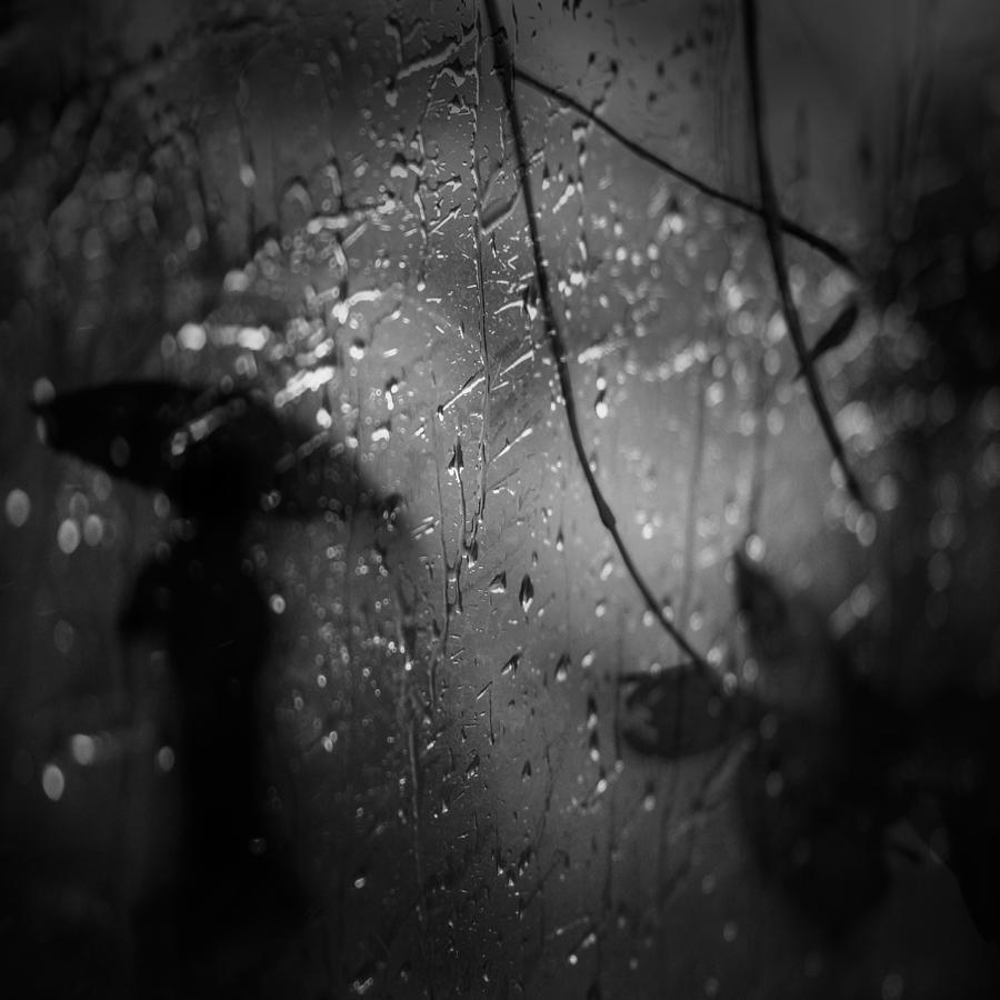 In The Rain... Photograph by Teruhiko Tsuchida | Fine Art America