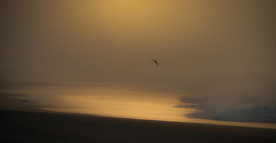 In The Sea Fog Photograph by Takafumi Yamashita