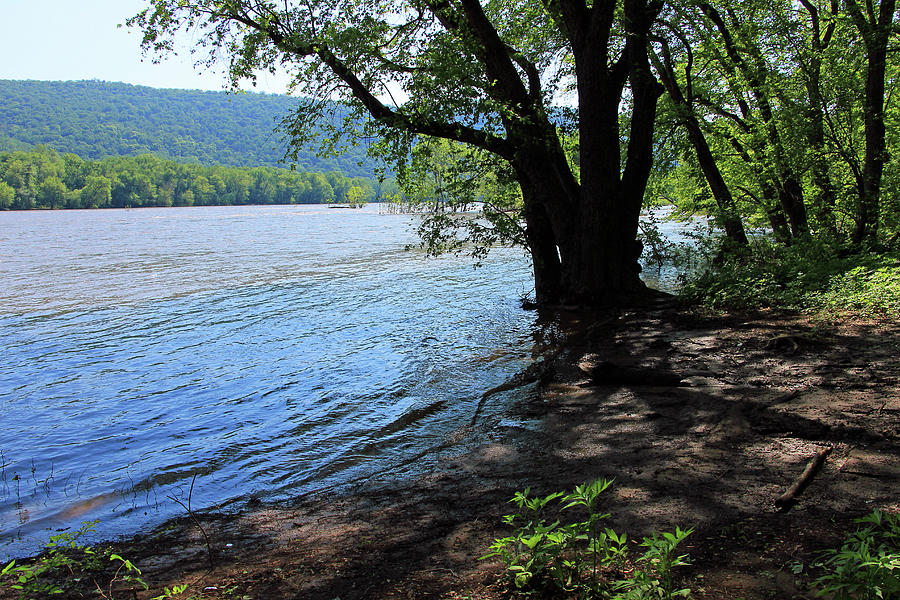 In The Shade Of The Potomac Photograph