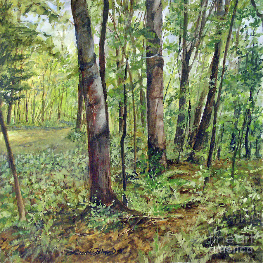 In the Shaded Forest by Laurie Rohner In the Shaded Forest by Laurie Rohner