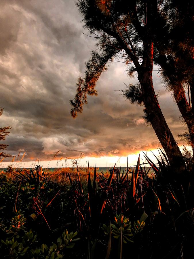 In the Shadows of the Storm by Robert Stanhope In the Shadows of the Storm by Robert Stanhope
