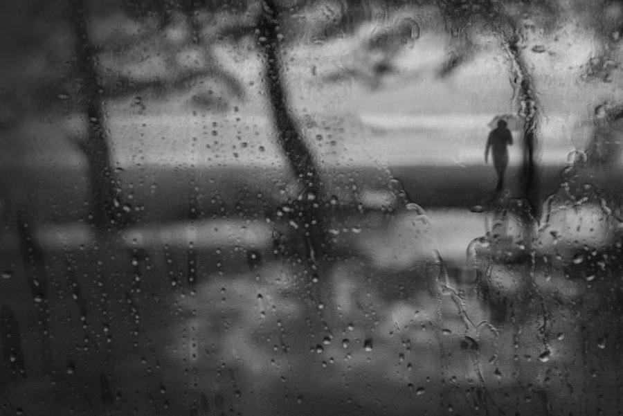 In The Silent Rain Photograph by Ekkachai Khemkum