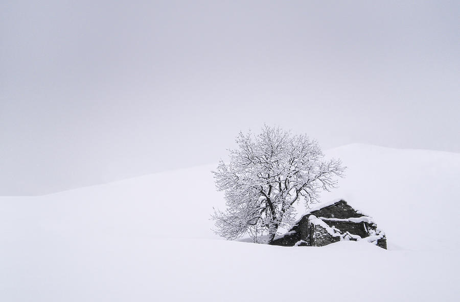 In The Snow Photograph by Giorgio Toniolo