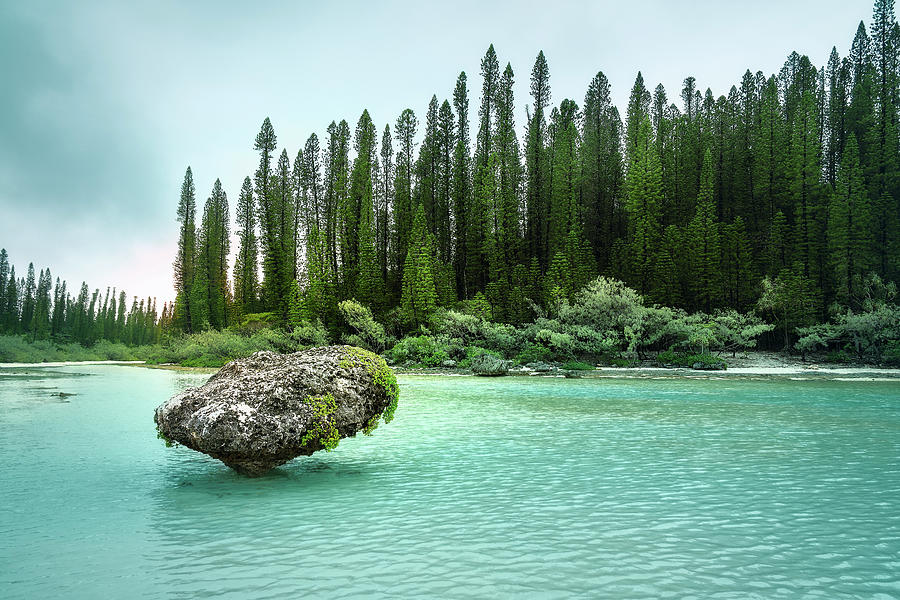 In the wilderness - Natural lagoon at Isle of Pines, New Caledonia. by Daniela Constantinescu In the wilderness - Natural lagoon at Isle of Pines, New Caledonia. by Daniela Constantinescu