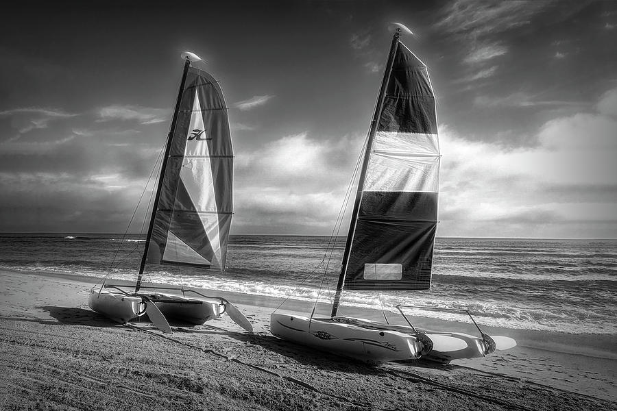 In the Wind Black and White Photograph by Debra and Dave Vanderlaan