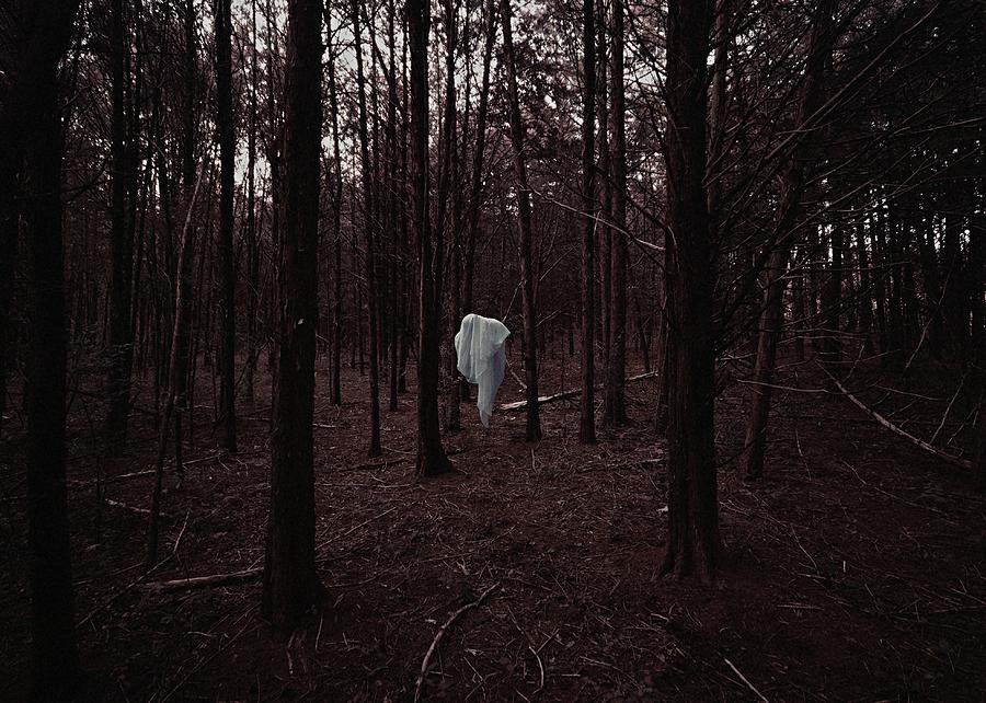 In The Woods by Michael Reynolds In The Woods by Michael Reynolds