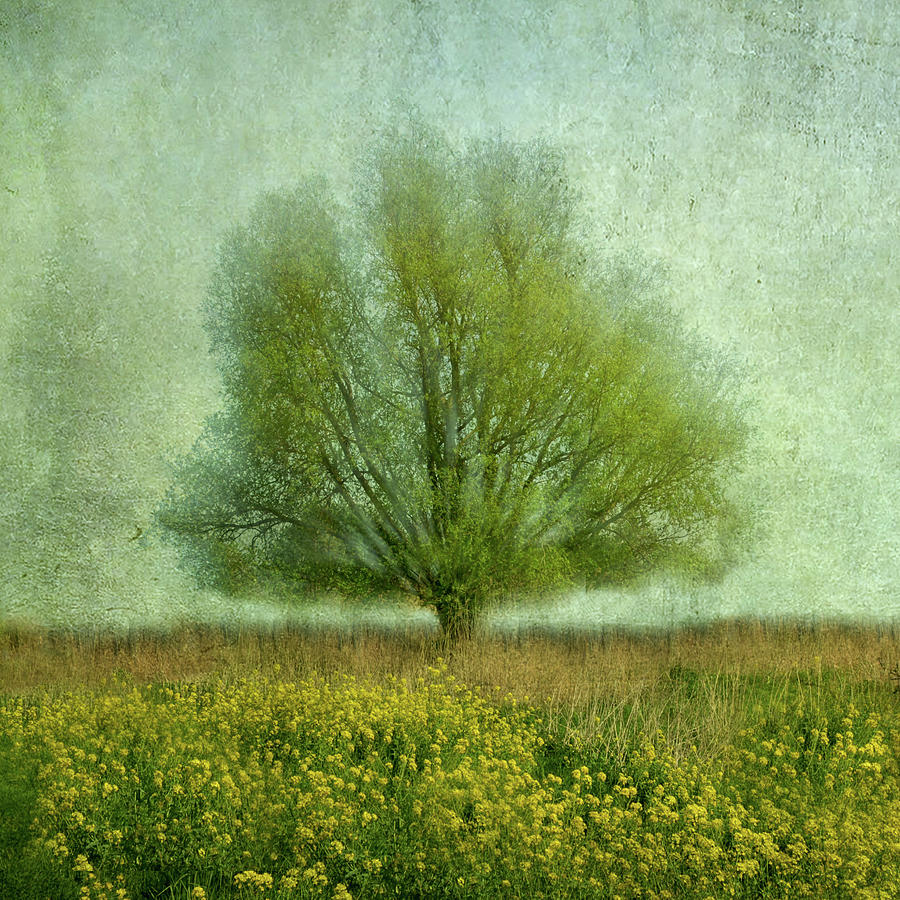 Summer Photograph - In The Yellow Field by Jacqueline Van Bijnen