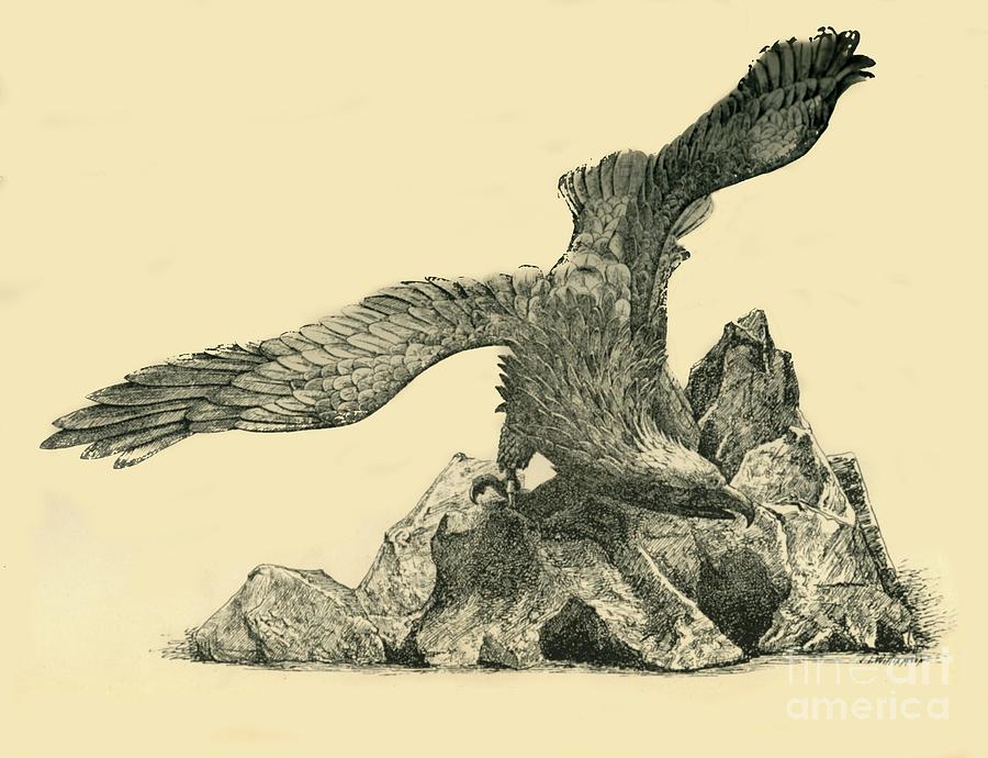 Incense Burner In The Form Of An Eagle Drawing by Print Collector