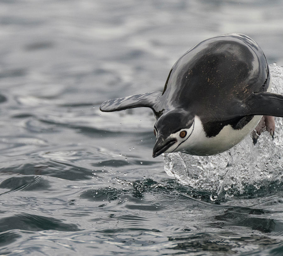 Incoming Photograph by Alex Lapidus