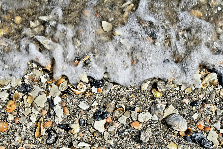 Incoming Tide by Kathy K McClellan Incoming Tide by Kathy K McClellan