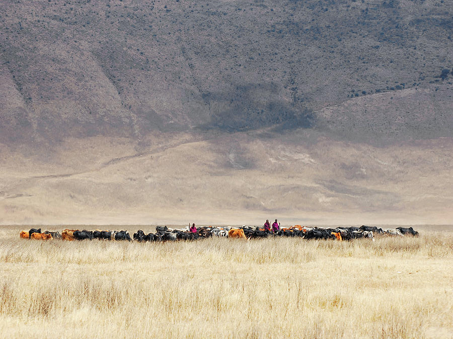 Incredible Maasai Photograph by Mathilde Guillemot