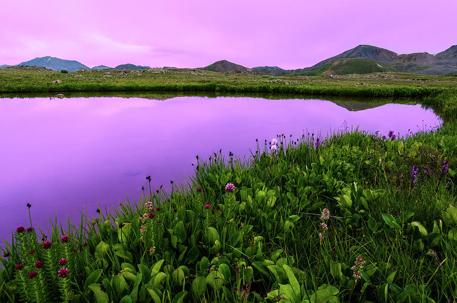 Independence Pass Purple Sunset Photograph by Photo By Matt Payne Of Durango, Colorado Independence Pass Purple Sunset Photograph by Photo By Matt Payne Of Durango, Colorado