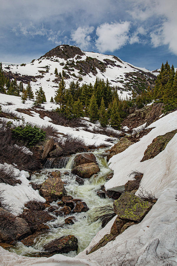 Independence Pass Stream Photograph by Al Hann