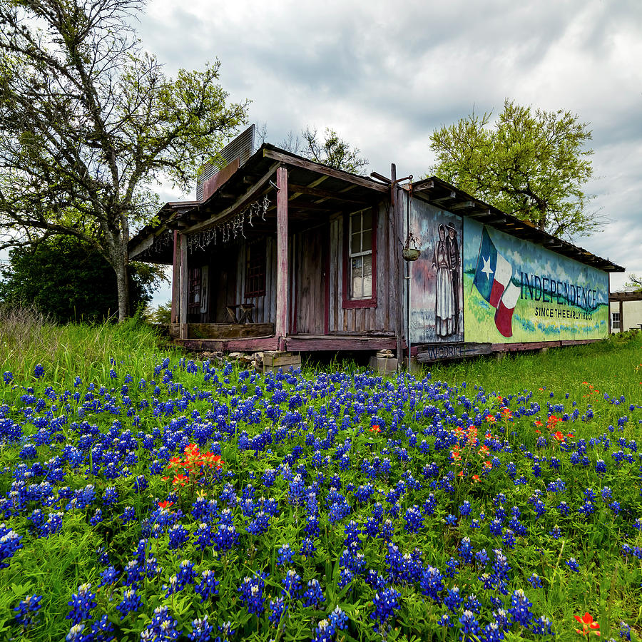 Independence Texas Photograph by David Morefield
