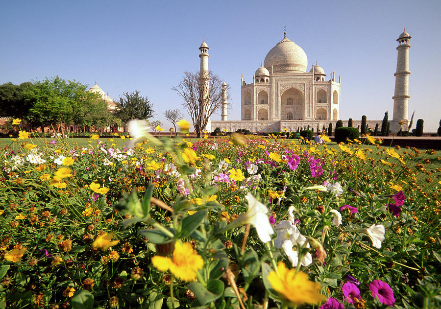 India, Agra, Taj Mahal Digital Art by Stefano Amantini