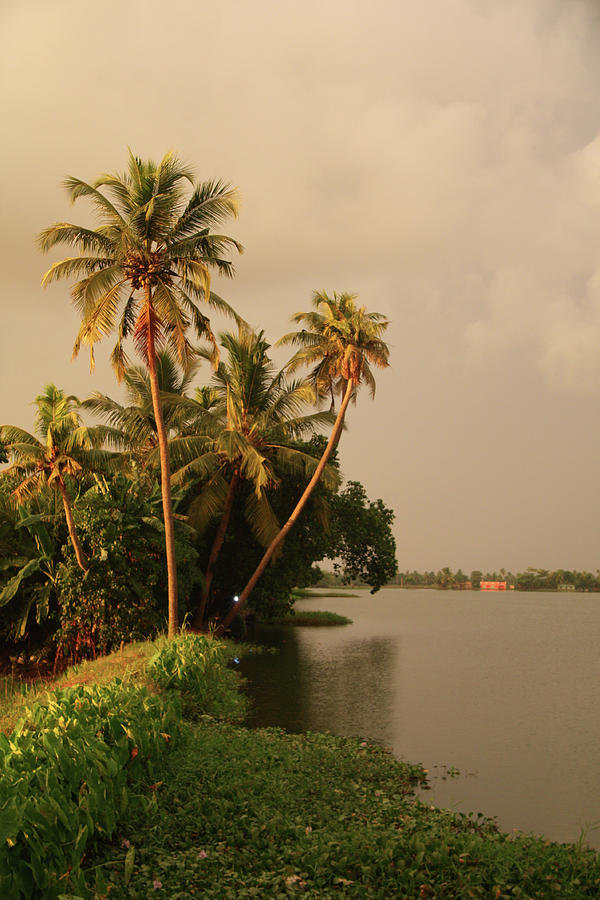 India Backwaters River Bank Photograph by Lily Currie