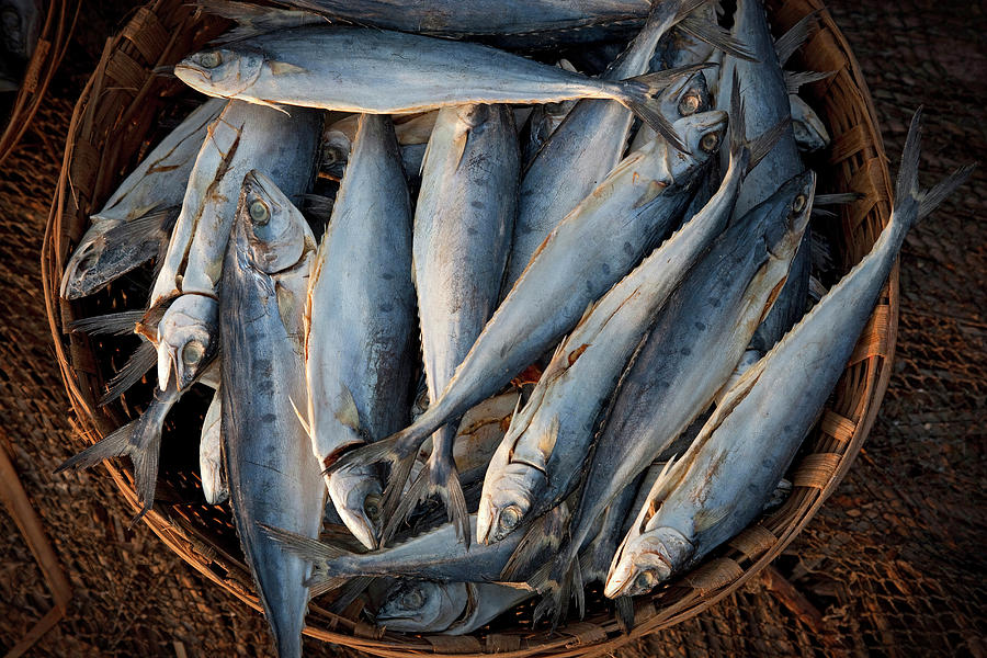 India, Goa, Basket Of Dried Fish Digital Art by Franco Cogoli