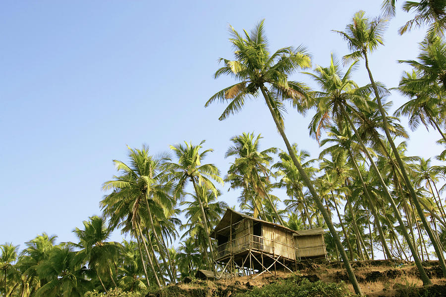 India, Goa, Beach Huts On Palolem Photograph by Sydney James India, Goa, Beach Huts On Palolem Photograph by Sydney James