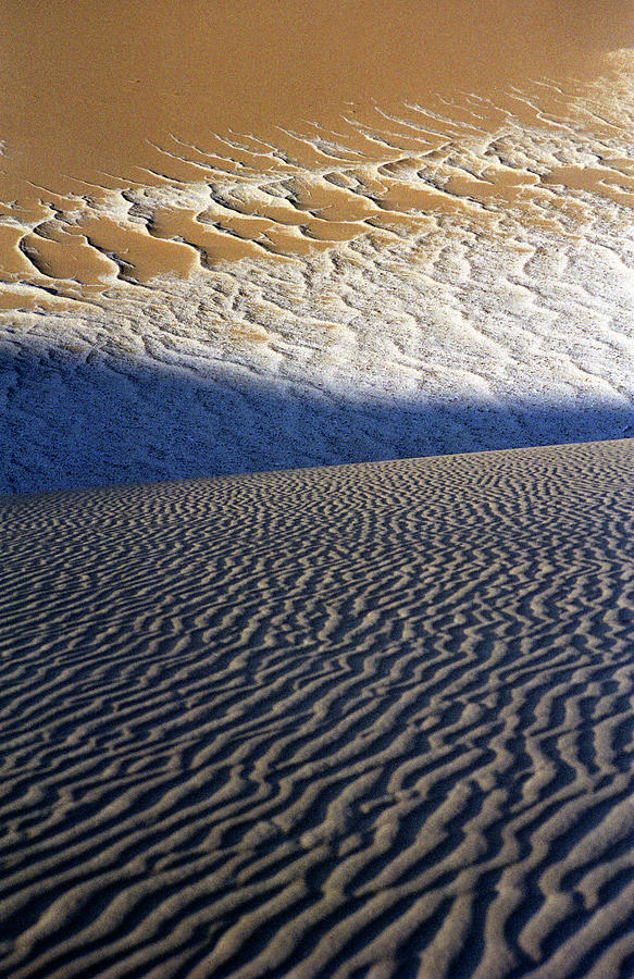 India, Manali-leh, Sand Dunes Photograph by Win-initiative/neleman