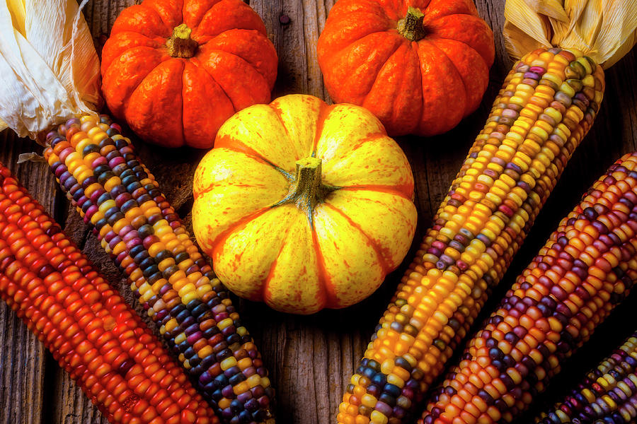 Indian Corn And Mini Pumpkins Photograph by Garry Gay