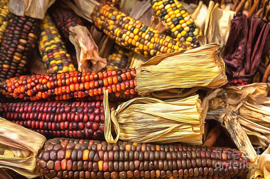 Indian Corn Photograph by Eva Lechner