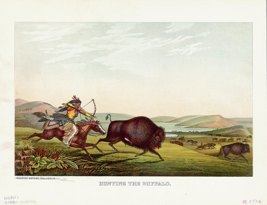 Indian Hunting Buffalo Photograph by Kean Collection