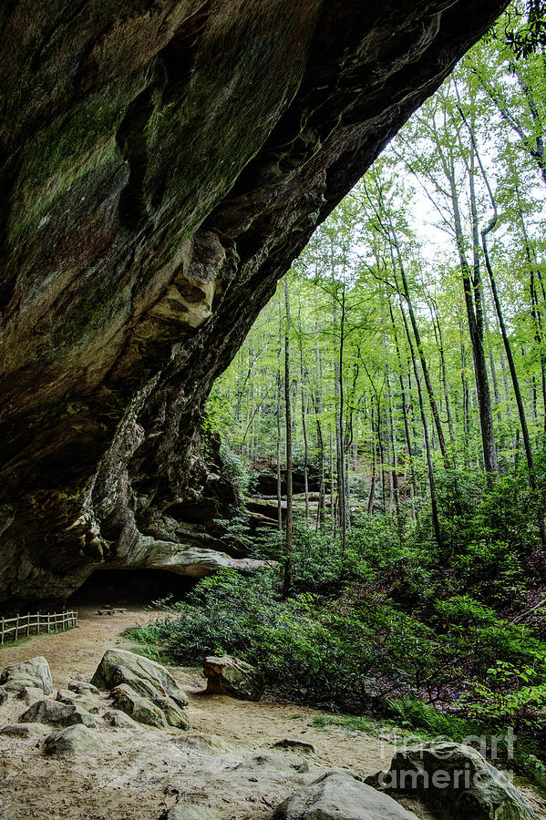 Indian Rockhouse Cave Tennessee Photograph by Sharon McConnell