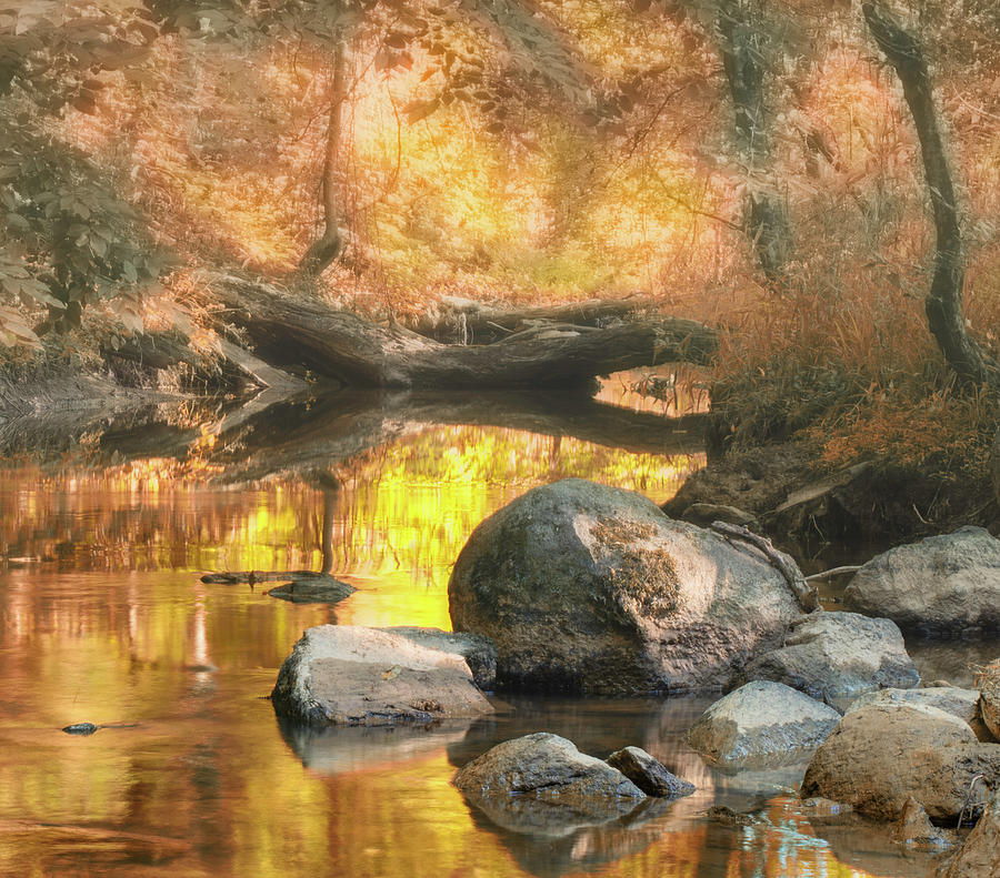 Indian Summer by Chris Coffee Indian Summer by Chris Coffee
