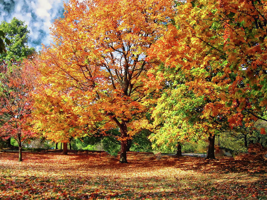 Indiana Autumn Scene by Anthony Dezenzio Indiana Autumn Scene by Anthony Dezenzio