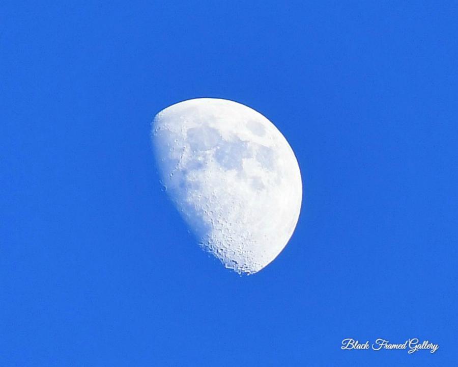 Indiana Blu Moon Photograph by Kurt Keller