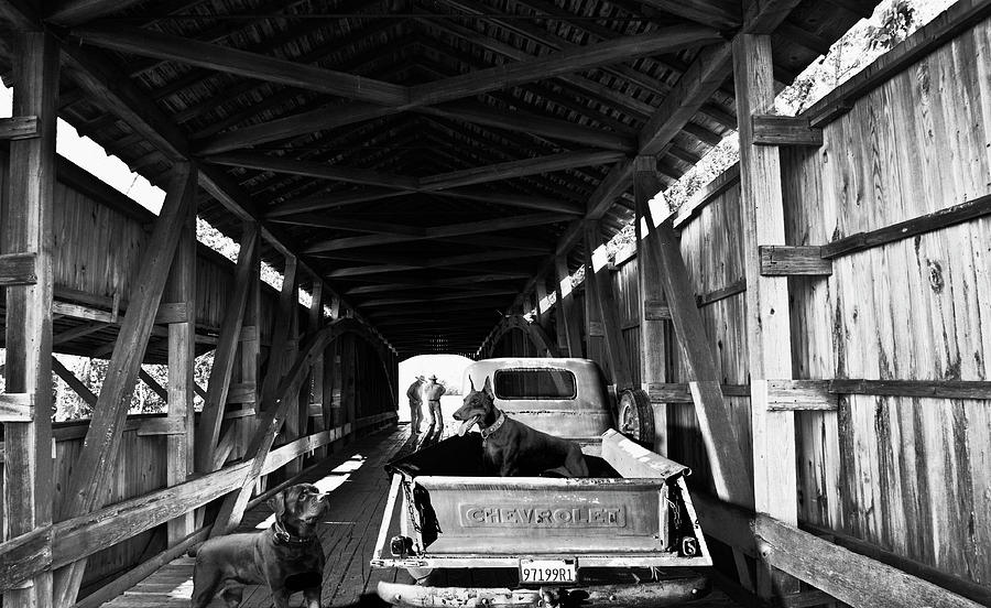 Indiana Covered Bridge  Farmers Dogs And Pickup Photograph